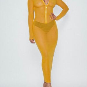 Mena Mesh Dress
